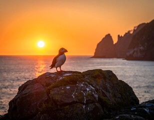 Seabird perched on rock, golden sun setting over ocean