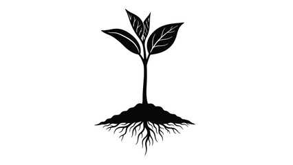 A delicate sprout with roots emerges from dark soil symbolizing new life