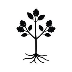 Black plant silhouette with roots and flowers forming a balanced botanical artwork Vector illustration