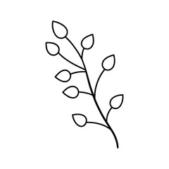 Botanical line art bundle featuring potted succulents and elegant foliage outlines Vector illustration