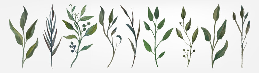 Watercolor green branches with delicate foliage and natural stems. Hand painted plant greenery, botanical sprigs and organic branch arrangements for wedding invitations. Elegant sprigs design.