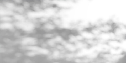 Naklejka na ściany i meble Gobo light effect with leaf shadows on white wall - natural sunlight pattern overlay. Tree foliage silhouette - dappled texture for studio background design with soft rays and bright reflections.