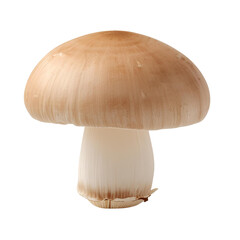 Simple Mushroom Delight: A single, pristine mushroom stands out with its earthy tones and smooth texture, inviting contemplation on the simplicity and elegance of nature.