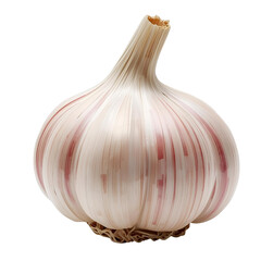 Garlic Bulb: A close-up shot of a single, fresh garlic bulb, its papery skin showcasing the intricate texture and subtle red streaks, is a perfect ingredient for food and cooking.