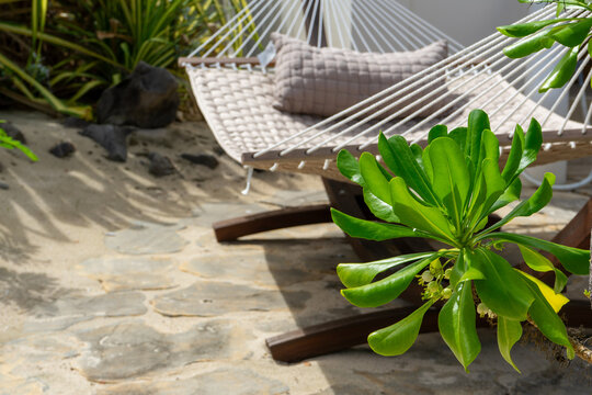 Woven Hammock with Tropical Beach Naupaka (Scaevola sericea) Plant Foliage on a Caribbean Beach