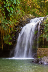 Fototapeta premium Grenada Annandale Waterfall with Motion Blur and Tropical Jungle