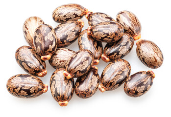 Bean-shaped, mottled, glossy castor oil seeds on white background. File contains clipping paths.