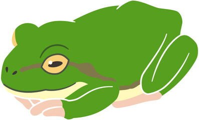 小さくなって休むカエルのイラスト素材