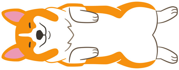 上から見たあおむけで寝るコーギーのイラスト素材