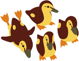 野鳥のカモのヒナたち　イラスト素材 © SO TERADA