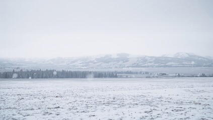 Spanning snowy field showing grass tufts on valley floor, with barns, conifer trees and mountains