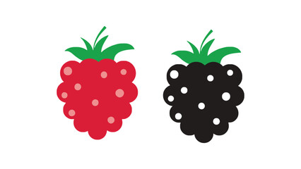 Raspberry and blackberry icons in modern style