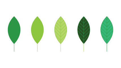 Vibrant green leaves in various shades on white background