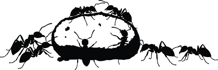 Ants teamwork around food, insect cooperation concept, colony behavior, nature scavengers, black silhouette ants, bread slice interaction, wildlife vector illustration
