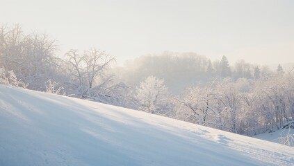 Obraz premium Showing snow-covered slope running diagonally in valley, with frost-covered trees and light mist