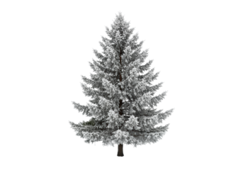 Isolated evergreen coniferous tree, spruce or fir, heavily laden with sparkling crystalline ice on a transparent background with copy space, concept of winter's pristine beauty