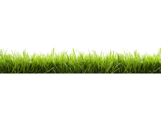 Naklejka premium Dense green grass strip isolated on transparent background. Realistic vegetation element for landscaping and environmental visuals.