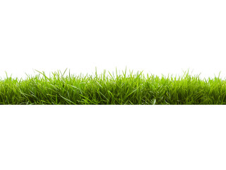 Naklejka premium Dense green grass strip isolated on transparent background. Realistic vegetation element for landscaping and environmental visuals.