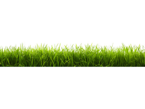 Dense green grass strip isolated on transparent background. Realistic vegetation element for landscaping and environmental visuals.