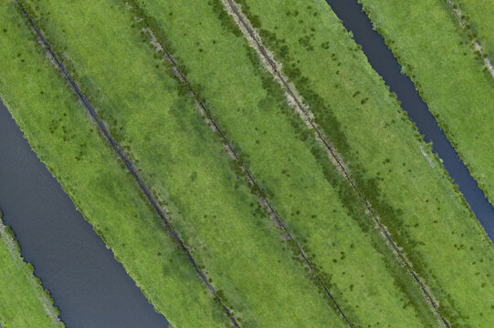 Aerial view of vibrant green fields intersected by dark, tranquil canals, creating a striking geometric pattern on the landscape, Zaandijk Zaanse Schans, Zaandam, Netherlands.