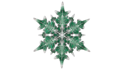 Isolated green snowflake crystal with a unique six sided pattern showing frost and ice crystals