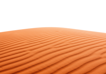 Fine-grained terracotta desert sand, intricate wind-blown ripples, soft shadows, filling the lower frame against a transparent copy space background, concept for minimalist design