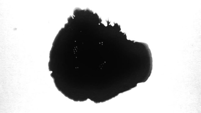 A close-up, high-contrast black ink blotch on a white background, abstract and textured.