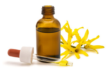 Easter tree flowers with extract bottle and dropper
