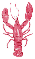 Red watercolor lobster with textured brushstrokes - seaside marine illustration suitable for coastal decor, seafood menus, nautical designs and children’s art.