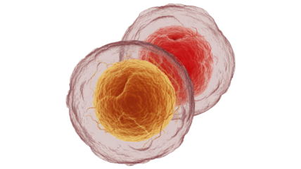 Cell Structures on Isolated Background