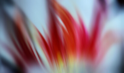 Abstract floral motion with vibrant colors.