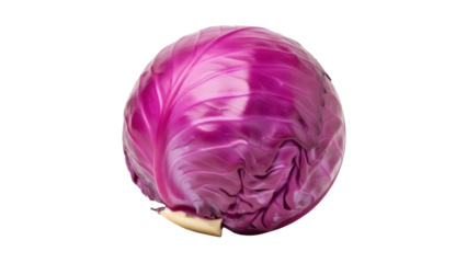 Isolated head of red cabbage with purple leaves and a light stem for tasty food