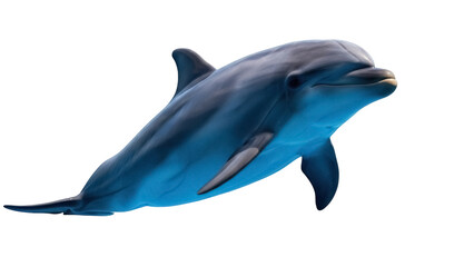 Isolated Dolphin swimming looking towards the camera with a sleek body and fin showing © Emil