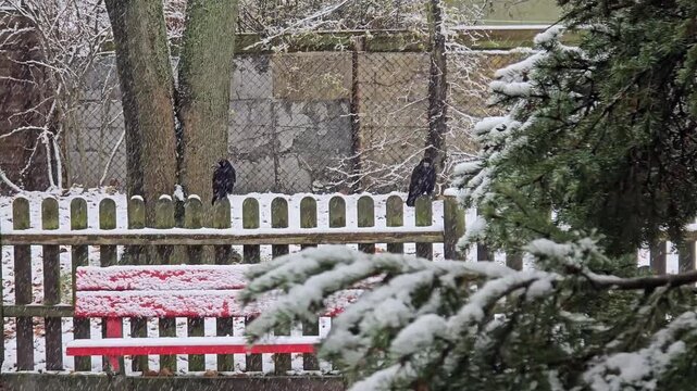 Snowy winter playground with sandbox, crows and falling snowflakes