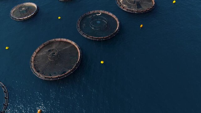 Aerial view of numerous circular fish farms contrasting with the deep blue sea, creating a geometric pattern, Ksamil, Vlore County, Albania.