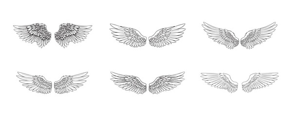 Sketch angel wings