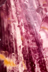 Purple Eggplant with Water Droplets on Glass, Abstract Food Photography