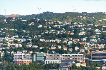 Obraz premium Residential Houses in Wellington - New Zealand