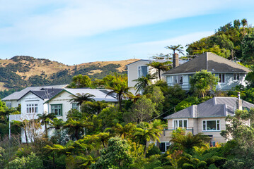 Residential Houses in Wellington - New Zealand
