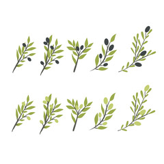Flat minimalistic olive branch set with leaves and olives. Clean, modern vector botanical elements in a simple flat style, perfect for branding, packaging, logos, invitations, wedding design