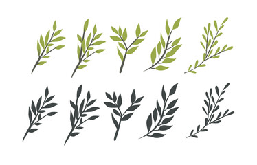 Flat minimalistic olive branch set with leaves and olives. Clean, modern vector botanical elements in a simple flat style, perfect for branding, packaging, logos, invitations, wedding design
