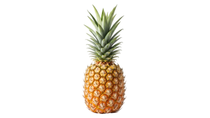 Fresh Pineapple Fruit isolated on a transparent background yellow green