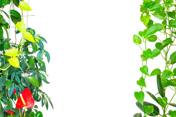 Fototapeta premium Green leaves flower and plants frame. Frame spring plant isolated on PNG transparent background