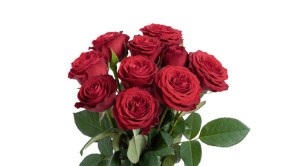 Obraz premium Red Roses isolated