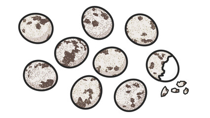 うずらのたまご　イラストセット