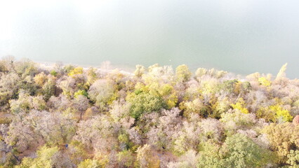Aerial View of Autumn Forest Along River Shoreline