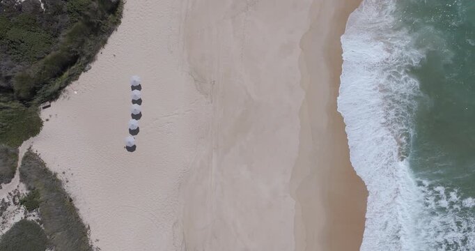 Top-down aerial view of minimalist beach umbrellas on pristine sand by the Atlantic Ocean in Comporta, Portugal. Luxury coastal lifestyle, calm, and exclusivity