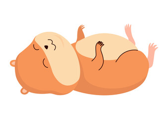 Cartoon hamster. Fluffy domestic pet, funny rodent. Happy home rodent animal. Vector illustration isolated on white background