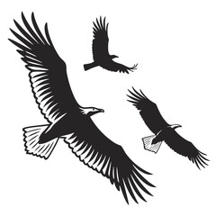 Flying eagles silhouetted with detailed feathers birds