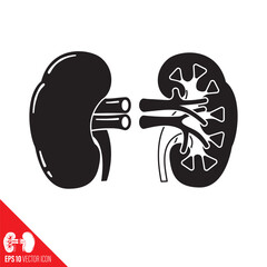 Human kidney and cross-section vector icon